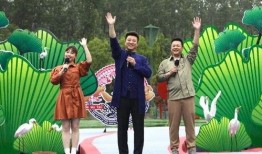 最新爆料暴雪事件新闻视频,揭秘背后真相与影响