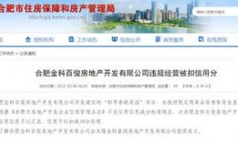 合肥房产爆料最新消息,揭秘新政策与市场走势！